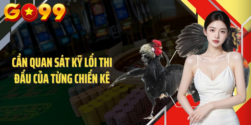 Cần quan sát kỹ lối thi đấu của từng chiến kê