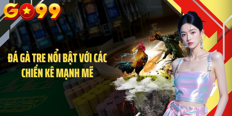 Đá gà tre nổi bật với các chiến kê mạnh mẽ