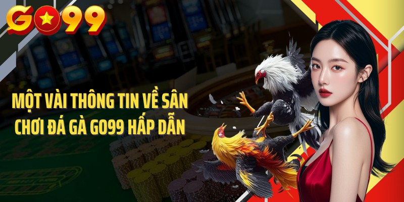 Một vài thông tin về sân chơi đá gà GO99 hấp dẫn